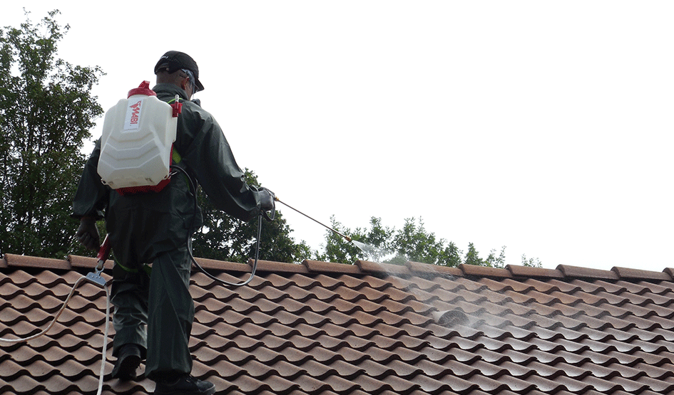 pulvérisateur pour démoussage de toit