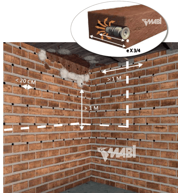 dry rot explication