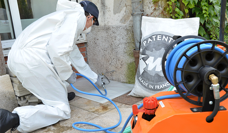 Rising damp rénovation