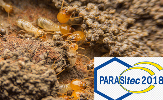 termite antiparasitaire 3D