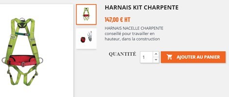 harnais de sécurité pour travaux charpentes